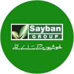Sayban Group logo representing corporate client relationship.