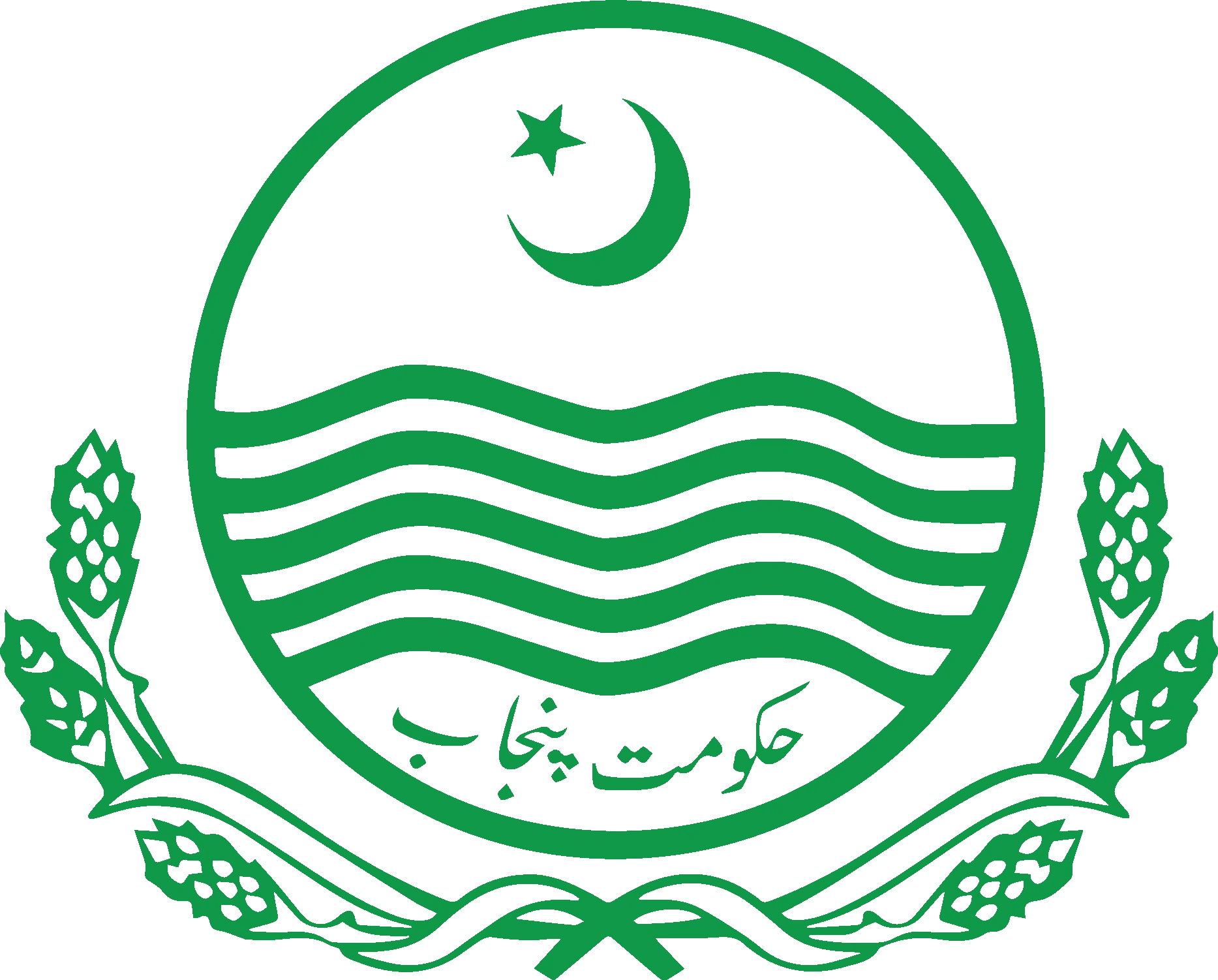Punjab Primary & Secondary Healthcare Department (PSED) logo representing public health sector client.