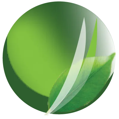 Apna Microfinance Bank logo representing microfinance sector digital transformation client.
